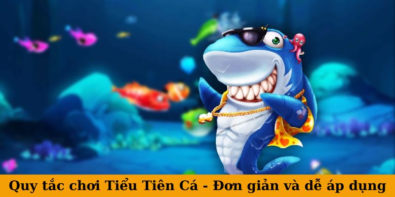 Quy tắc chơi Tiểu Tiên Cá - Đơn giản và dễ áp dụng