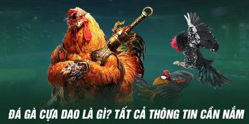 Đá Gà Cựa Dao