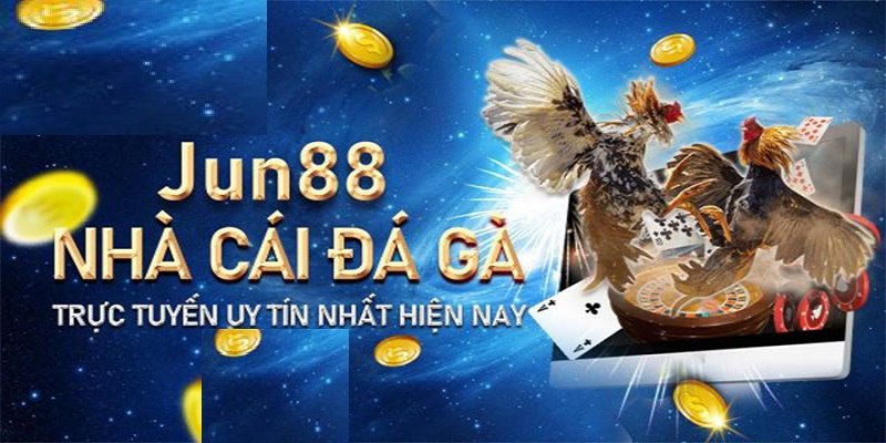 Các bước chơi đá gà trực tuyến Jun88 cực đơn giản