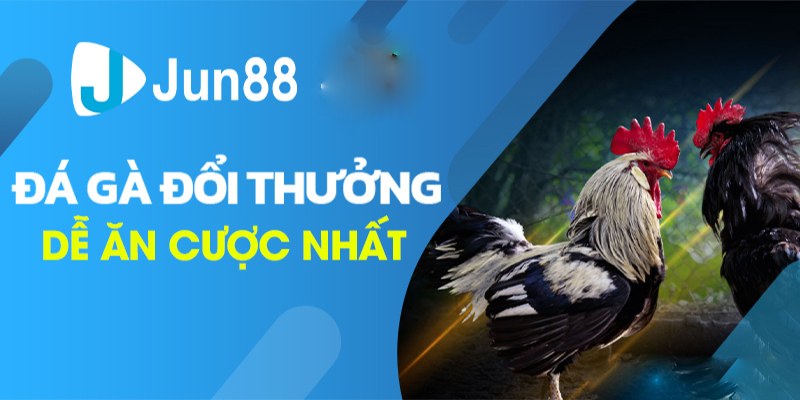 Đá gà trực tuyến Jun88 là địa chỉ cá cược uy tín