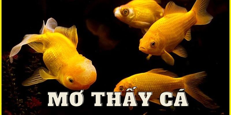 Mơ Thấy Cá